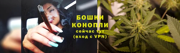 сатива Ладушкин