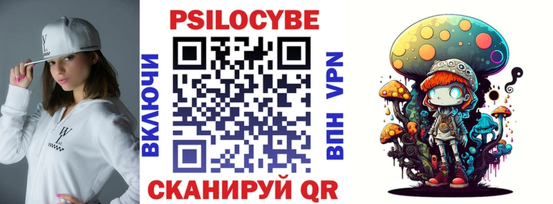 закладка  Черняховск  Галлюциногенные грибы Cubensis 