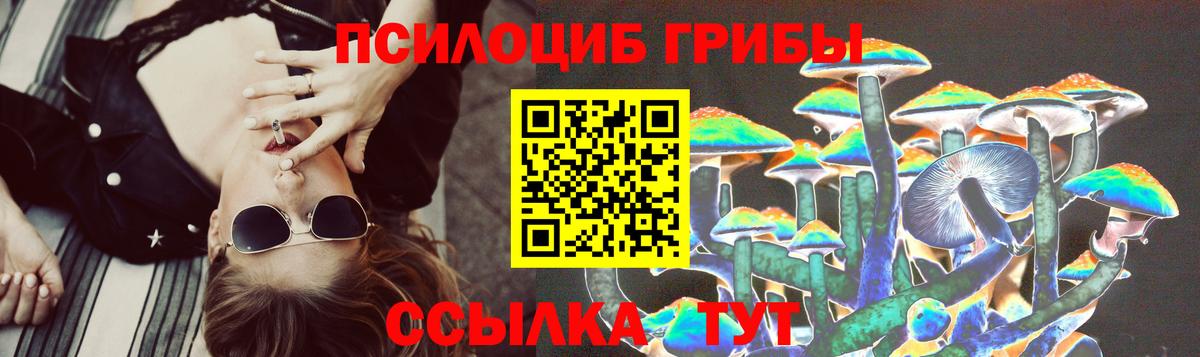 Псилоцибиновые грибы Psilocybe  Черняховск 